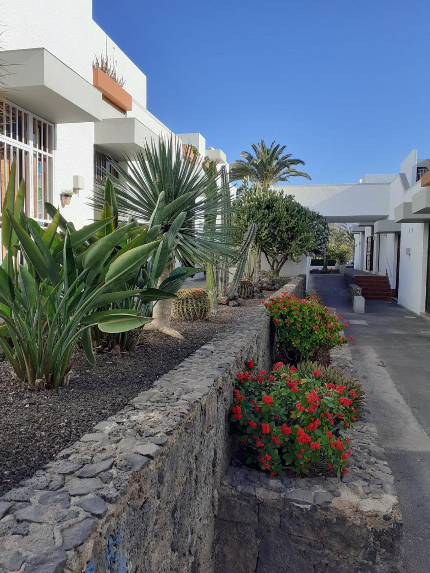 Precioso Apartamento Costa Del Silencio Luaran gambar