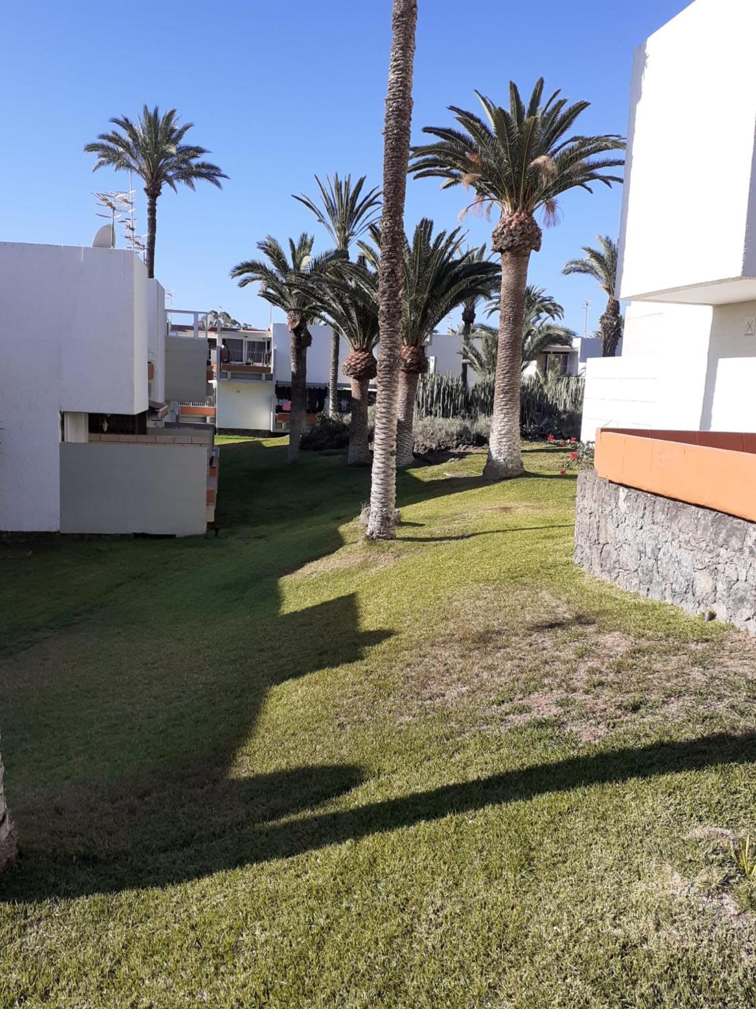 Precioso Apartamento Costa Del Silencio Luaran gambar